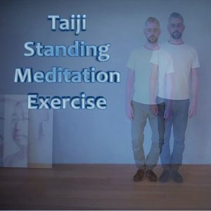 Taiji Standing Meditation Exercise by TaijiStream and Guillem Bernado