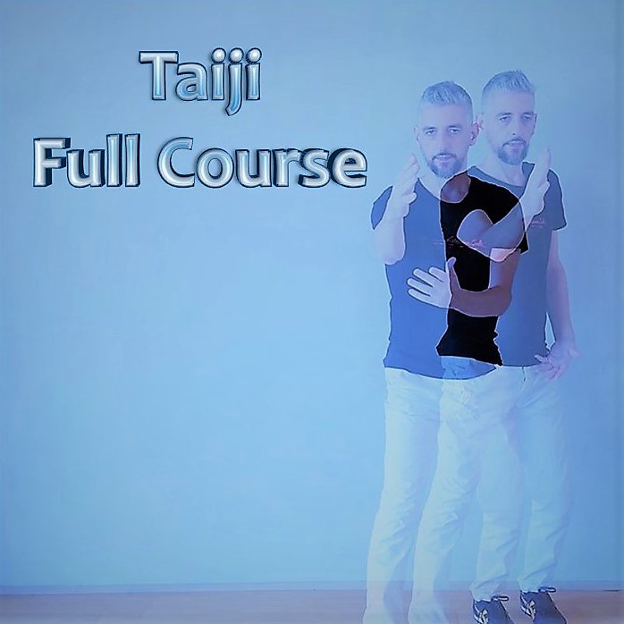 Taiji Full Course by TaijiStream - Your Taiji Online Platform (2)
