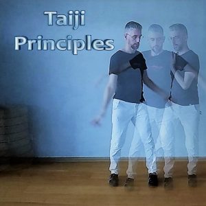 Taiji Principles by TaijiStream