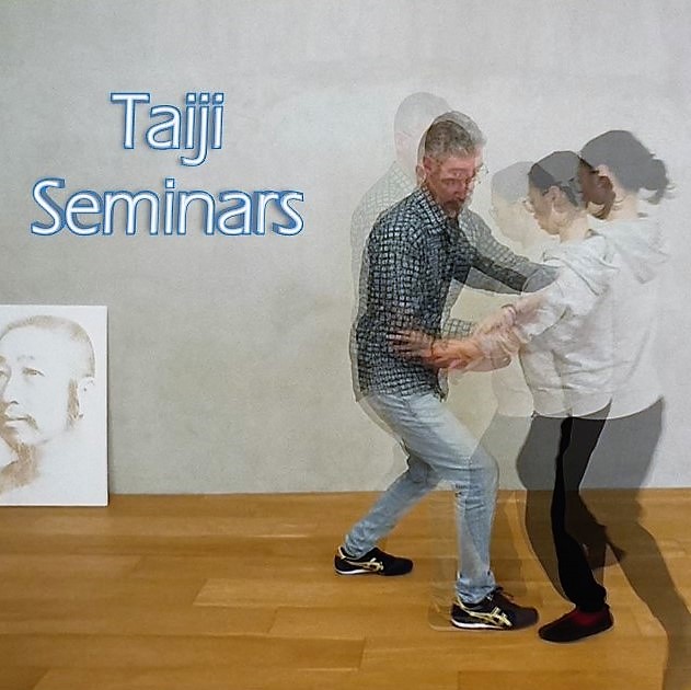 Taiji Seminars by Guillem Bernado at TaijiStream