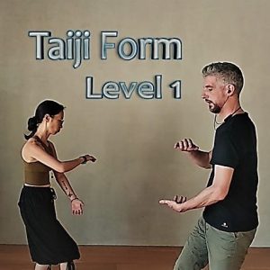 Taiji Form by TaijiStream - GBtaiji - Guillem Bernadó (3)