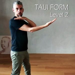 Taiji Form Level 2 by TaijiStream GbTaiji Guillem Bernado