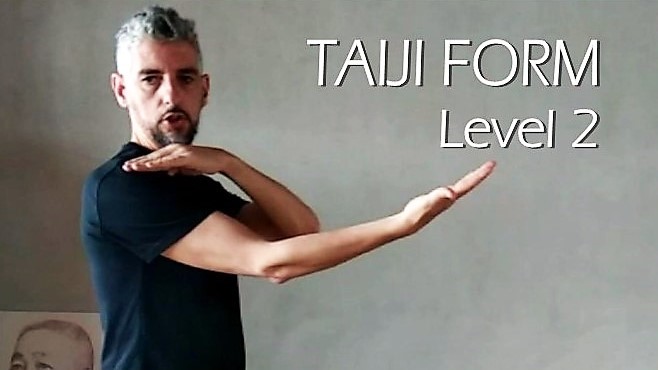 Taiji Form Level 2 by TaijiStream GbTaiji